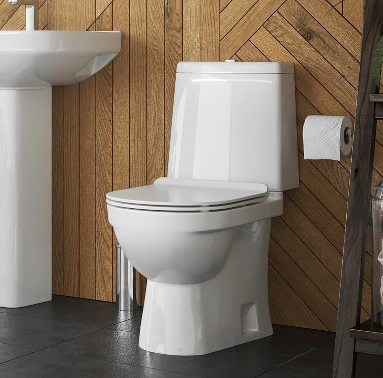 Унитаз-компакт Sanita Luxe Next Slim белый WC.CC/Next/2-SlimDM/WHT.G/S1 Унитаз-компакт Sanita Luxe Next Slim белый WC.CC/Next/2-SlimDM/WHT.G/S1