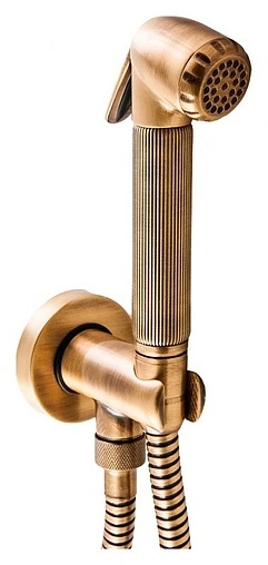 Гигиенический душ с шланговым подсоединением Bossini Nikita бронза C69002B.022