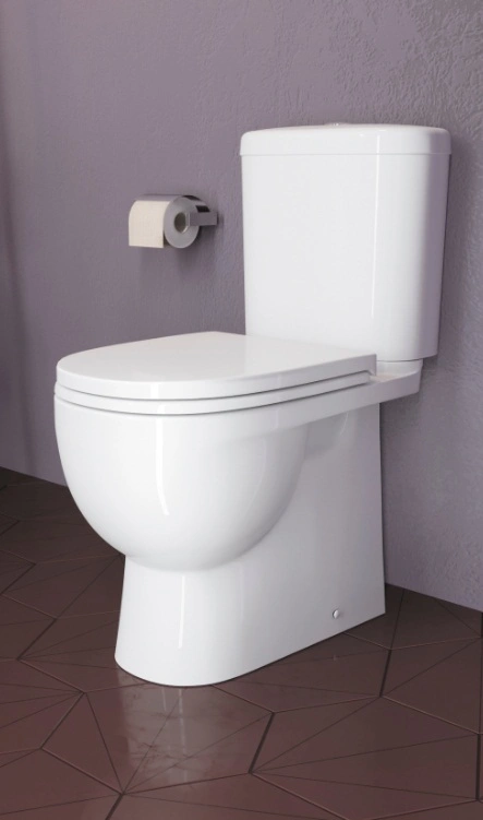 Унитаз-компакт Sanita Luxe Art Comfort белый WC.CC/Art/2-DM/WHT.G/S1