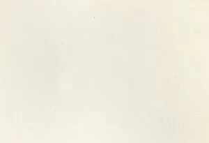 Смеситель для кухни с подключением к фильтру Omoikiri Nagano-WH белый/хром 4994054, 3