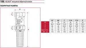 Погружной пружинный обратный клапан с фильтром 1"в Itap Block 1060100 Погружной пружинный обратный клапан с фильтром 1"в Itap Block 1060100, 3