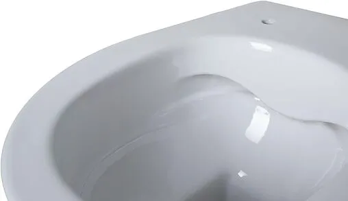 Унитаз приставной безободковый Allen Brau Fantasy белый 4.11007.20