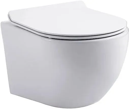 Унитаз подвесной безободковый Aquanet Cetus 2.0 Rimless белый CETUS W Short T