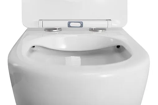 Унитаз приставной безободковый BelBagno Sfera-R белый BB2141CBR/SC Унитаз приставной безободковый BelBagno Sfera-R белый BB2141CBR/SC