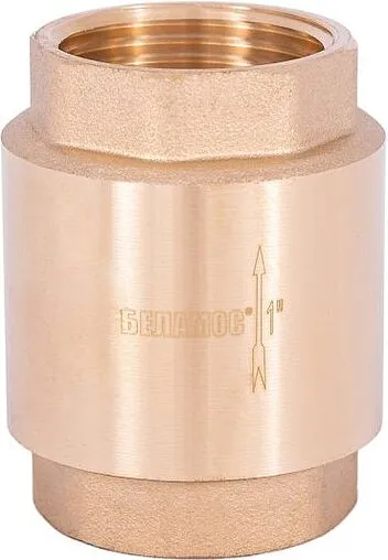Погружной пружинный обратный клапан с фильтром 1&quot;в Belamos FV-B 1