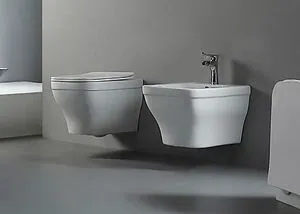 Биде подвесное Aquatek Амадео белый AQ1663-00, 4