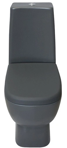 Унитаз-компакт Sanita Luxe Infinity Color Grey Stone серый матовый INFSLCC25170522 Унитаз-компакт Sanita Luxe Infinity Color Grey Stone серый матовый INFSLCC25170522