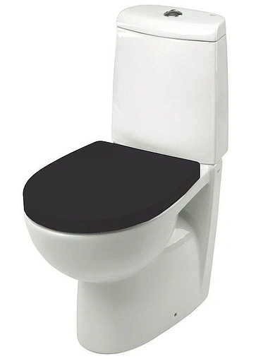 Крышка-сиденье для унитаза с микролифтом Roca Victoria Nord Black Edition черный ZRU9302627