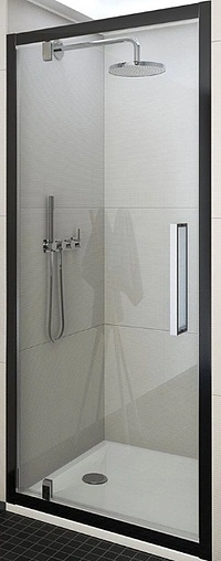 Дверь в нишу 900мм прозрачное стекло Roltechnik Exclusive Line ECDO1N/900 black elox 562-9000000-05-02