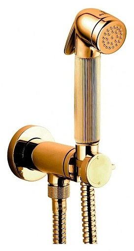 Гигиенический душ со смесителем Bossini Nikita Mixer Set золото E37008B.021