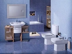 Раковина Roca Dama Senso Compacto 48 белый 327514000 Раковина Roca Dama Senso Compacto 48 белый 327514000, 5