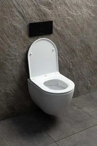 Унитаз подвесной безободковый Allen Brau Priority Tornado белый 4.31008.20