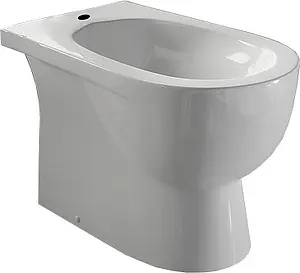 Биде напольное Sanita luxe Art белый BD.FS/Art/C/WHT.G/S1, 1