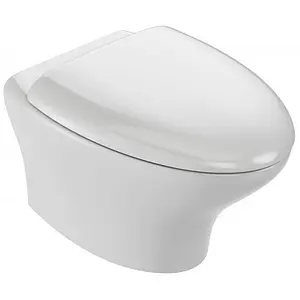 Крышка-сиденье для унитаза с микролифтом Jacob Delafon Nouvelle Vague белый E20068-00, 2