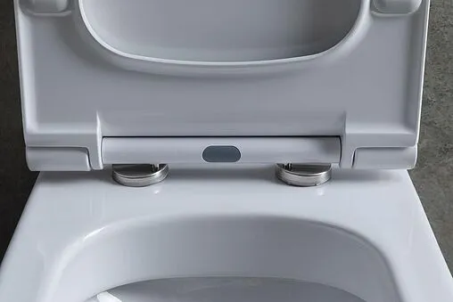 Унитаз-компакт безободковый Allen Brau Priority белый 4.31003.20+4.XX000.20