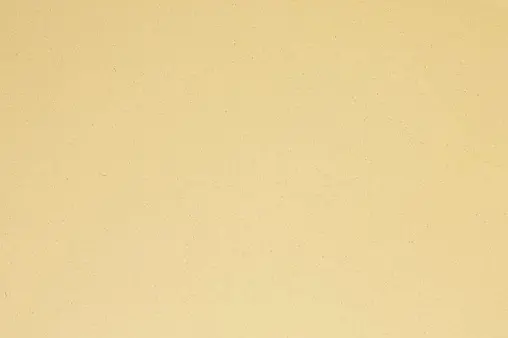 Мойка кухонная Omoikiri Kata 20-U-MA марципан 4993370