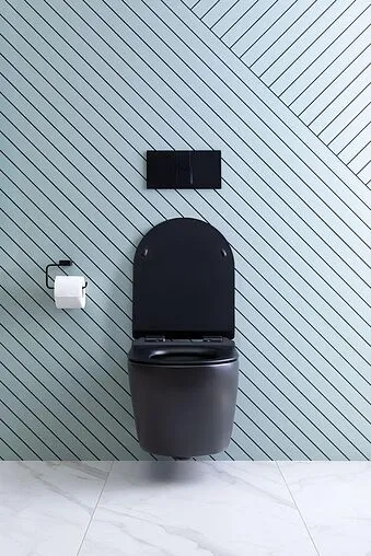 Унитаз подвесной безободковый Aquanet Cetus-BW Rimless черный матовый CETUS-BW