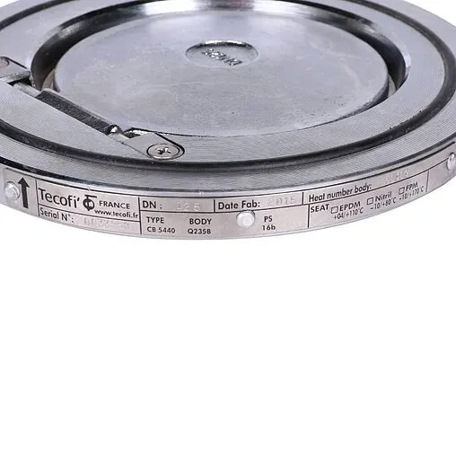 Клапан обратный поворотный одностворчатый межфланцевый Ду125 Ру16 Tecofi CB5440-0125