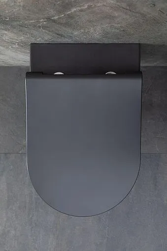 Унитаз подвесной безободковый Allen Brau Priority антрацит 4.31001.AN