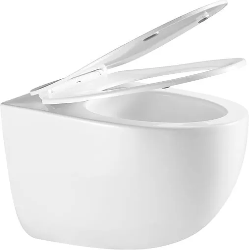 Унитаз подвесной безободковый Terminus Енисей Monolit Tornado белый 05W56х39W