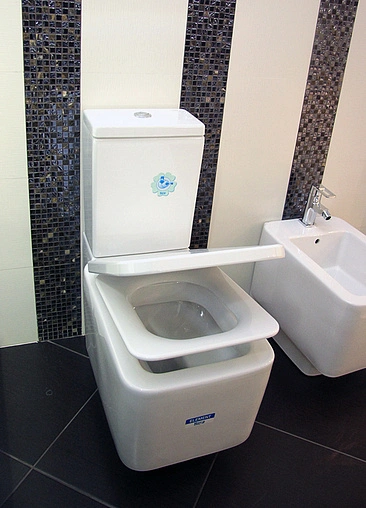 Унитаз-компакт Roca Element белый 342577000+341570000