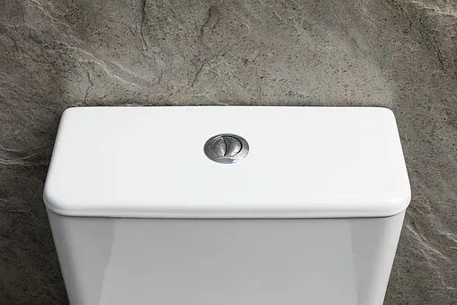 Унитаз-компакт безободковый Allen Brau Priority Tornado белый 4.31006.20+4.31007.20