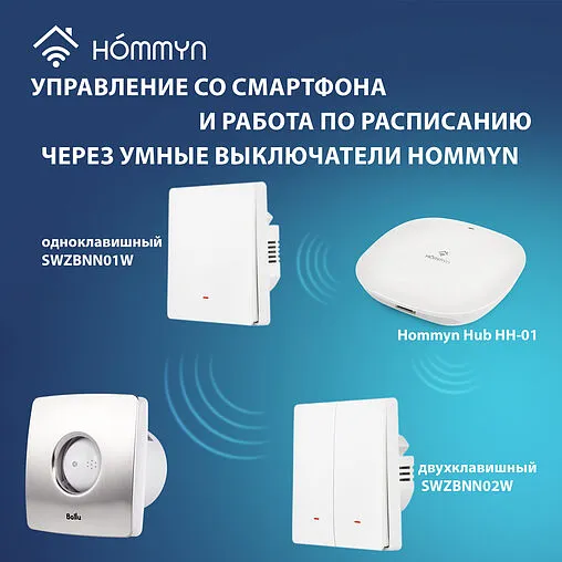 Вентилятор вытяжной Ballu BAFS - 100 нержавеющая сталь