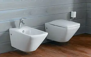 Унитаз подвесной Jacob Delafon Escale белый E1306-00 Унитаз подвесной Jacob Delafon Escale белый E1306-00, 4