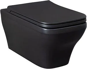 Унитаз подвесной безободковый Allen Brau Infinity черный матовый 4.21011.31 Унитаз подвесной безободковый Allen Brau Infinity черный матовый 4.21011.31, 1