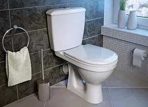 Унитаз-компакт Оскольская керамика Суперкомпакт стандарт белый 44901110022 Унитаз-компакт Оскольская керамика Суперкомпакт стандарт белый 44901110022, 3