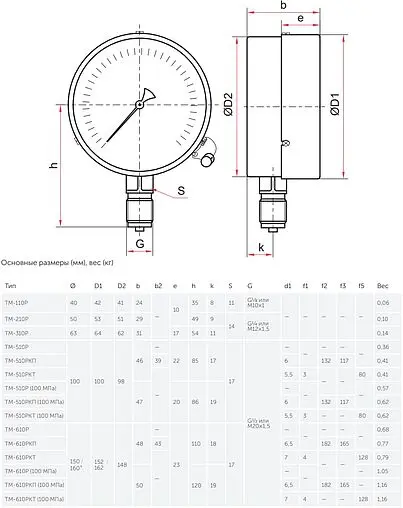 Манометр радиальный Росма ТМ-510Р.00 100мм 25 бар 1/2" 00000007303 ...