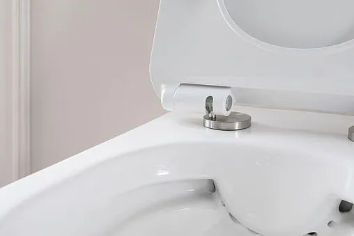 Унитаз подвесной безободковый Aquanet Roll Rimless белый Roll-W Унитаз подвесной безободковый Aquanet Roll Rimless белый Roll-W