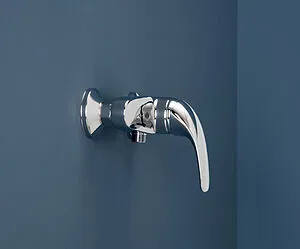 Смеситель для душа Aquanet Cobra хром SD90367, 4