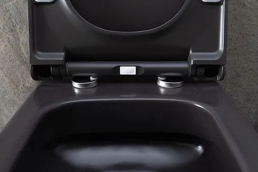 Унитаз подвесной безободковый Allen Brau Priority антрацит 4.31001.AN