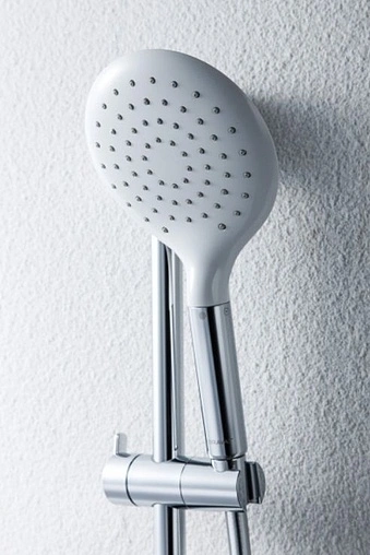 Лейка ручного душа Bravat Snow хром P70144CP-RUS