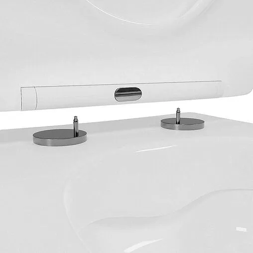 Крышка-сиденье для унитаза с микролифтом Toni Arti Baglio/Lamoli белый TA-0660BOGB