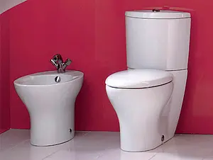 Биде напольное Jacob Delafon Presquile белый E1348-00 Биде напольное Jacob Delafon Presquile белый E1348-00, 4