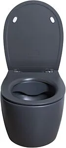 Унитаз подвесной безободковый Allen Brau Fantasy антрацит 4.11004.AN, 4