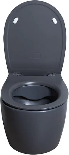 Унитаз подвесной безободковый Allen Brau Fantasy антрацит 4.11004.AN