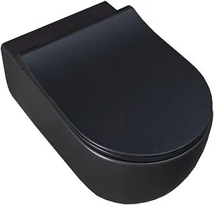 Унитаз подвесной безободковый Allen Brau Priority черный матовый 4.31001.31, 5