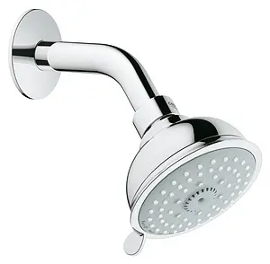 Лейка верхнего душа с настенным креплением Grohe New Tempesta Rustic 100 хром 26089000, 1