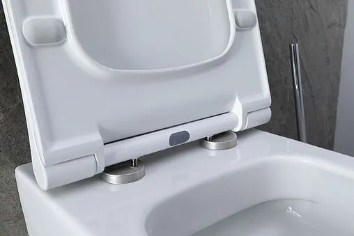 Унитаз подвесной безободковый Allen Brau Priority белый 4.31001.20