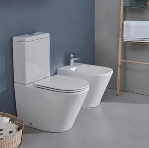 Биде напольное Jacob Delafon Rodin+ белый EBJ0002-00 Биде напольное Jacob Delafon Rodin+ белый EBJ0002-00, 5