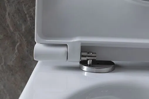 Унитаз подвесной безободковый Allen Brau Reality белый 4.32006.20