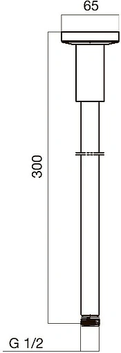 Держатель верхнего душа на потолок Am.Pm хром F0500600