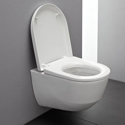 Унитаз подвесной безободковый Laufen Pro Rimless c покрытием LCC белый 8.2096.6.400.000.1