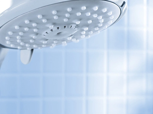 Лейка верхнего душа с настенным креплением Grohe New Tempesta Rustic 100 хром 26089000