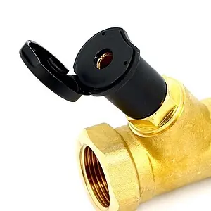 Балансировочный клапан 1&quot;в х 1&quot;в Kvs 5.5 Watts WattFlow BP SRV IG 10010156, 5