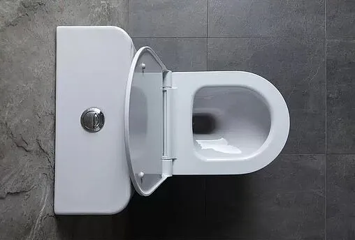 Чаша унитаза Allen Brau Priority белый 4.31003.20