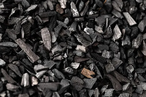 Сменная засыпка для картриджа Гейзер БАУ-А 35866